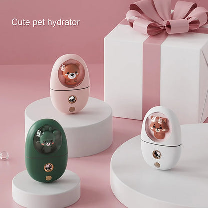 Mini Humidificateur Facial 35ml