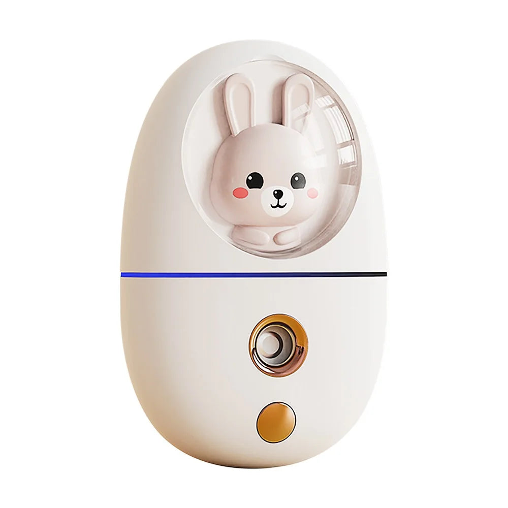 Mini Humidificateur Facial 35ml